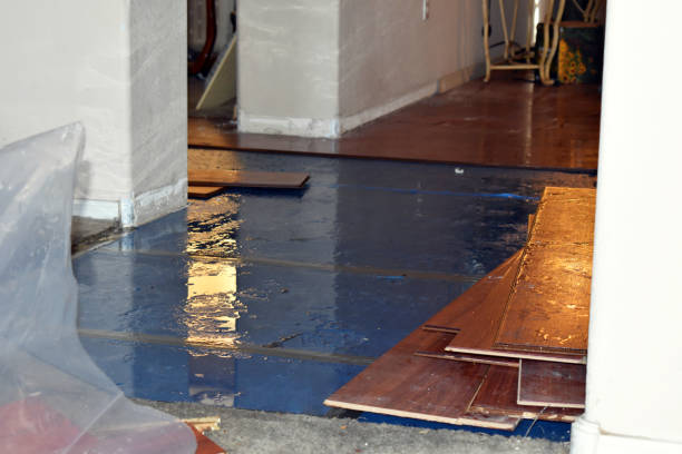 Professional Basement Water Removal technician working in Bogota, NJ