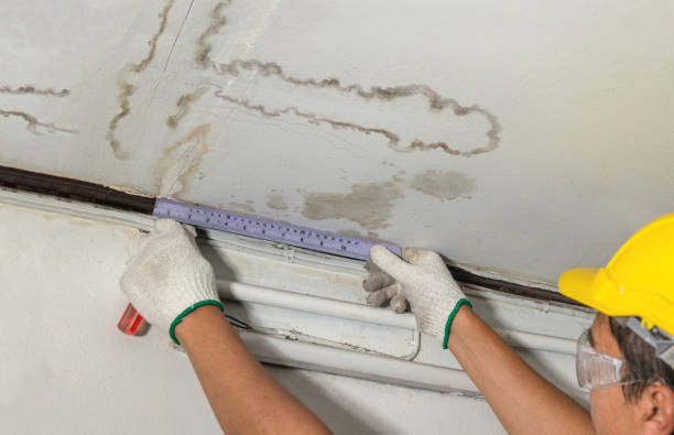 Reliable Basement Water Removal contractor in Bogota, NJ by Water Damage Irwin